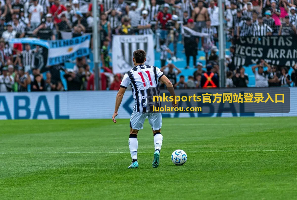 mksports官方网站登录入口的登录步骤演示封面