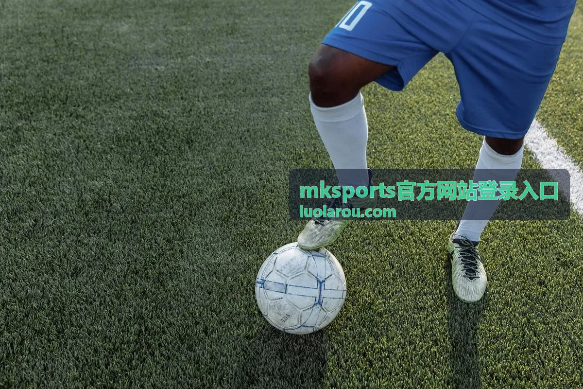 mksports官方网站登录入口的账号安全设置说明封面