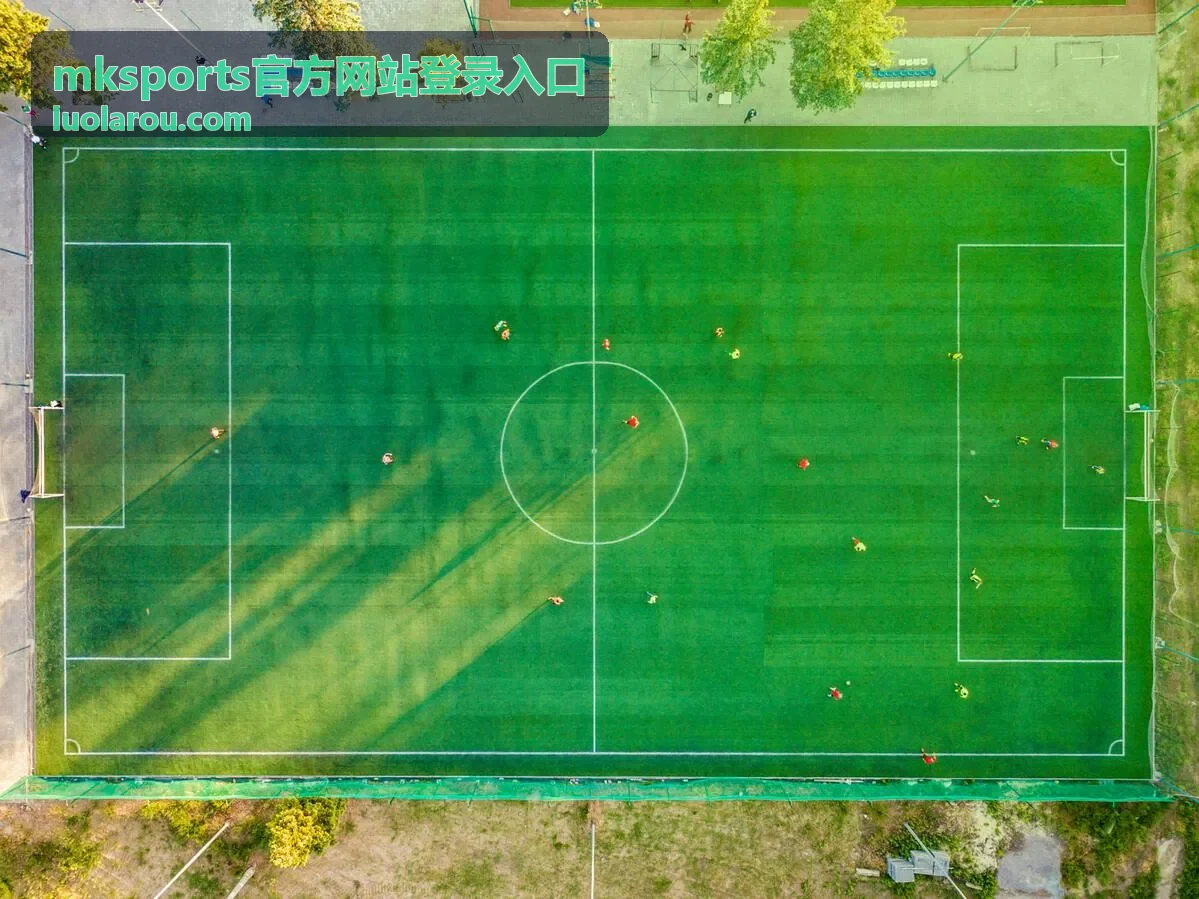 mksports官方网站登录入口的常见问题解答封面